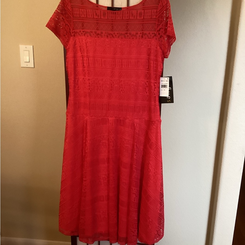 Sangria Lace dress